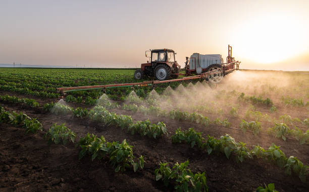  Winton, CA Pest Control Pros