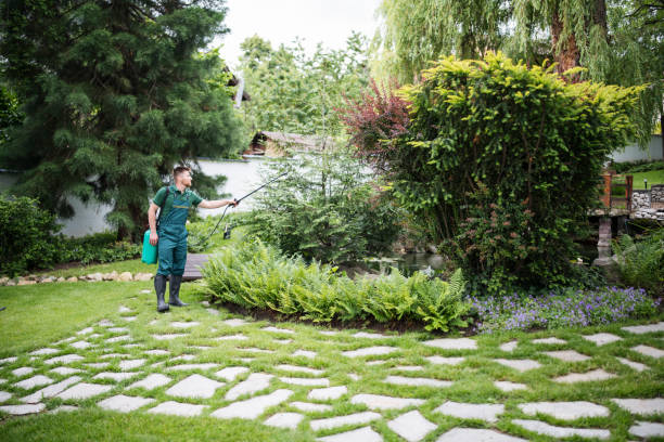 Best Local Pest Control Services  in Winton, CA